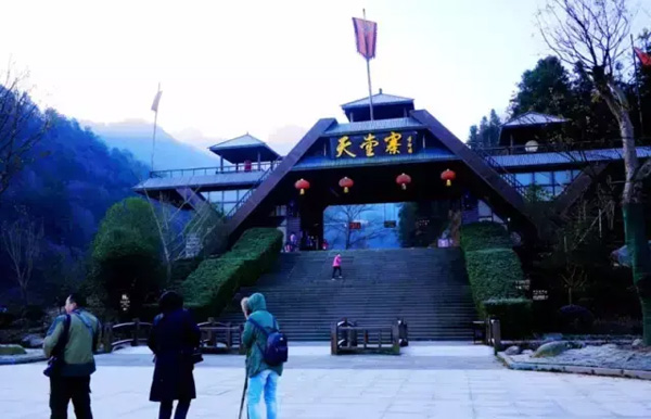 金寨土特产